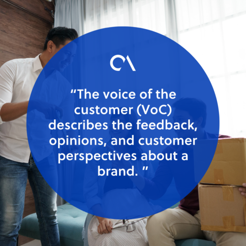 Defining voice of the customer (VoC) 