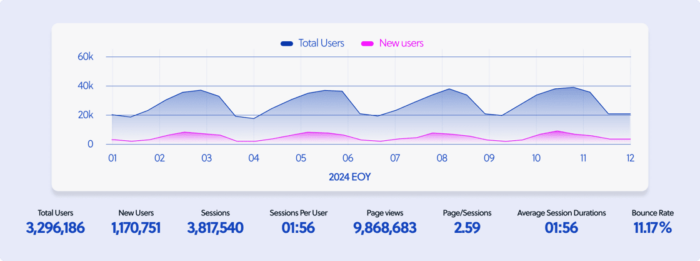 The line chart illustrates a steady increase in both total and new users of the website over the course of 12 months, accompanied by key metrics such as sessions, page views, and bounce rate.